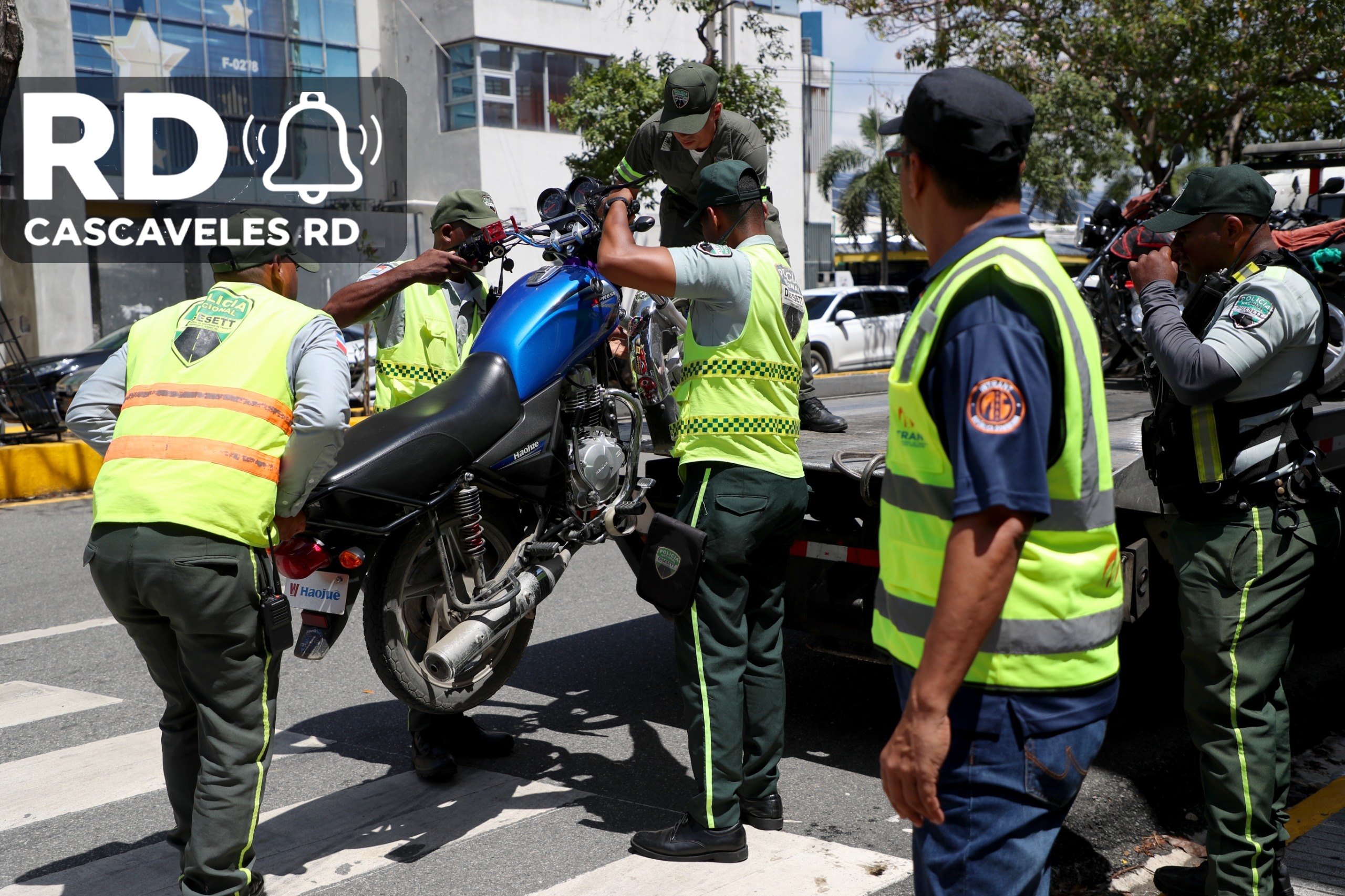 Imagen de la noticia